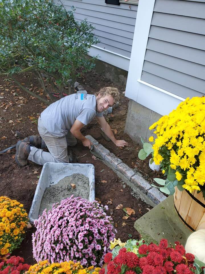 Gardener performing spring cleanup of perennial bed, cutting back old foliage with new growth emerging at base