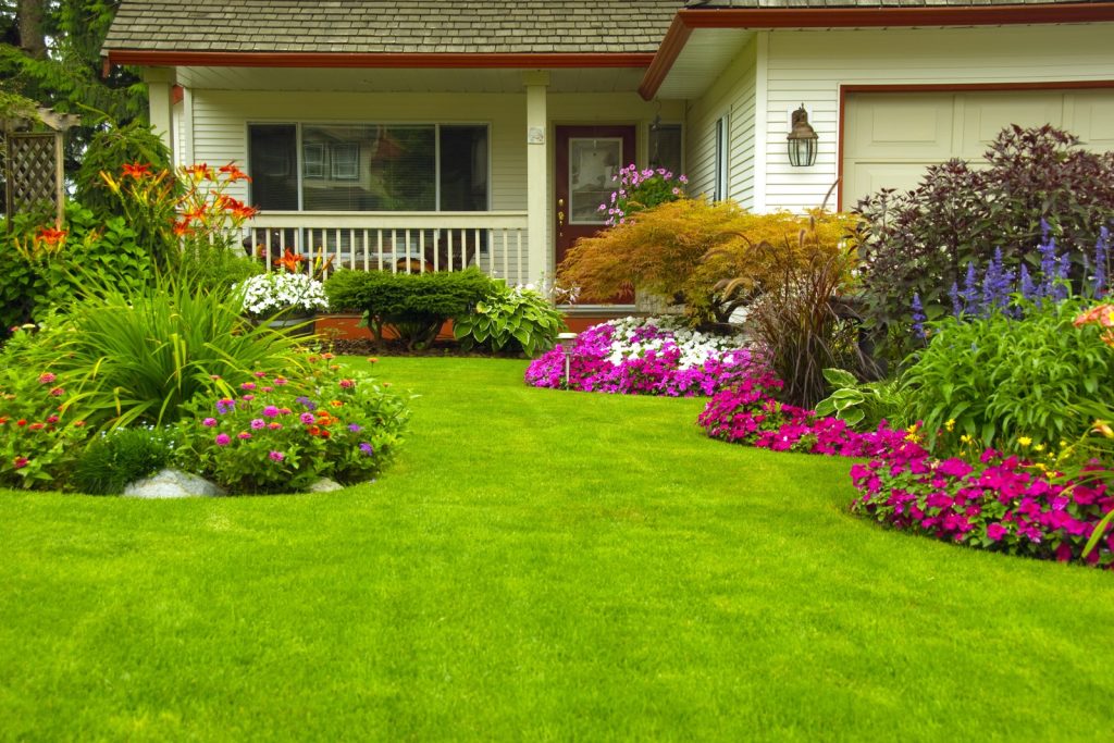 Beautiful newly installed garden bed along house foundation in Ellicott City with layered plantings of evergreens, flowering shrubs, and perennials with fresh mulch
