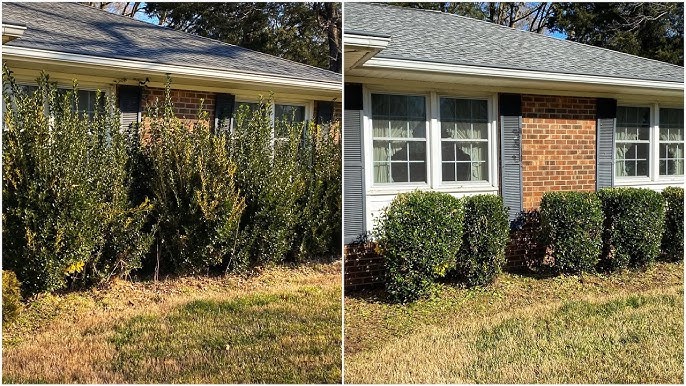Before/after comparison showing overgrown shrubs vs perfectly trimmed foundation plantings in Columbia