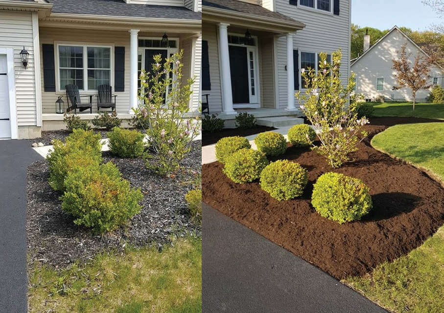 Garden mulching is an essential part of maintaining a healthy and vibrant garden.
