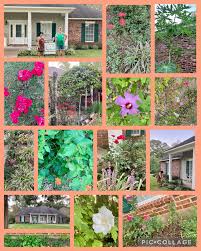 ollage showing recommended plants for Howard County gardens - azaleas, hostas, daylilies, coneflowers, ornamental grasses growing in local garden setting