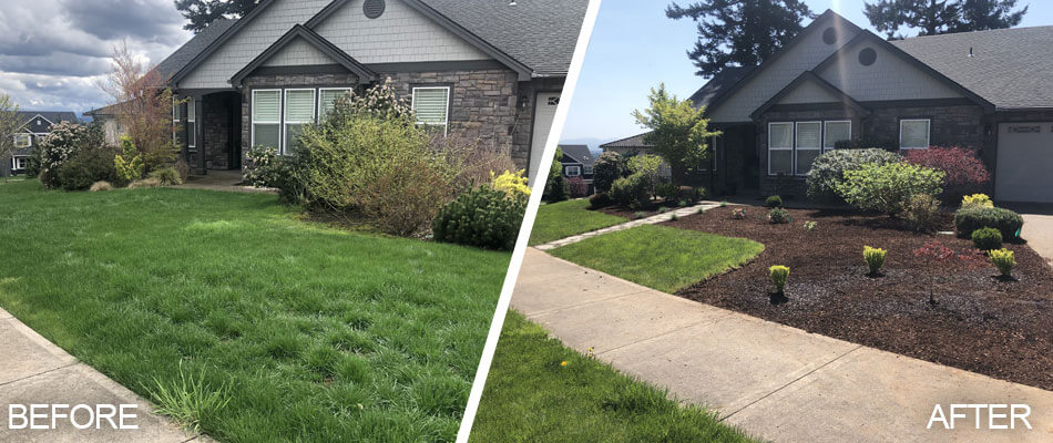 We offer comprehensive landscape cleanup services to keep your outdoor space looking its best.