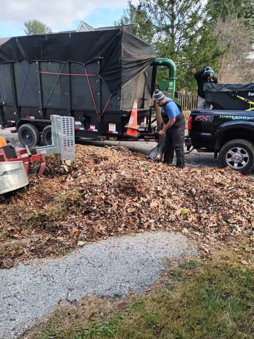 Professional crew with commercial blowers and vacuum equipment clearing Ellicott City property