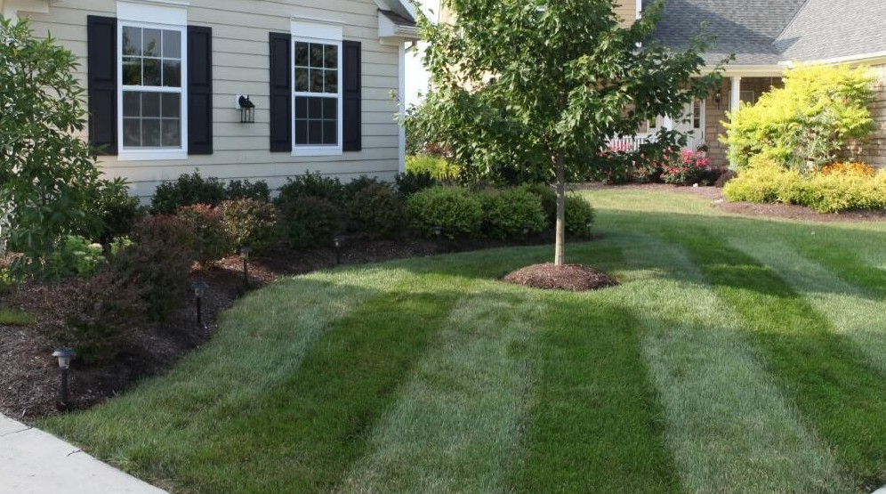 Unlock the potential of your outdoor space with expert lawn care,mulch and mowing from Greenlawn Inc